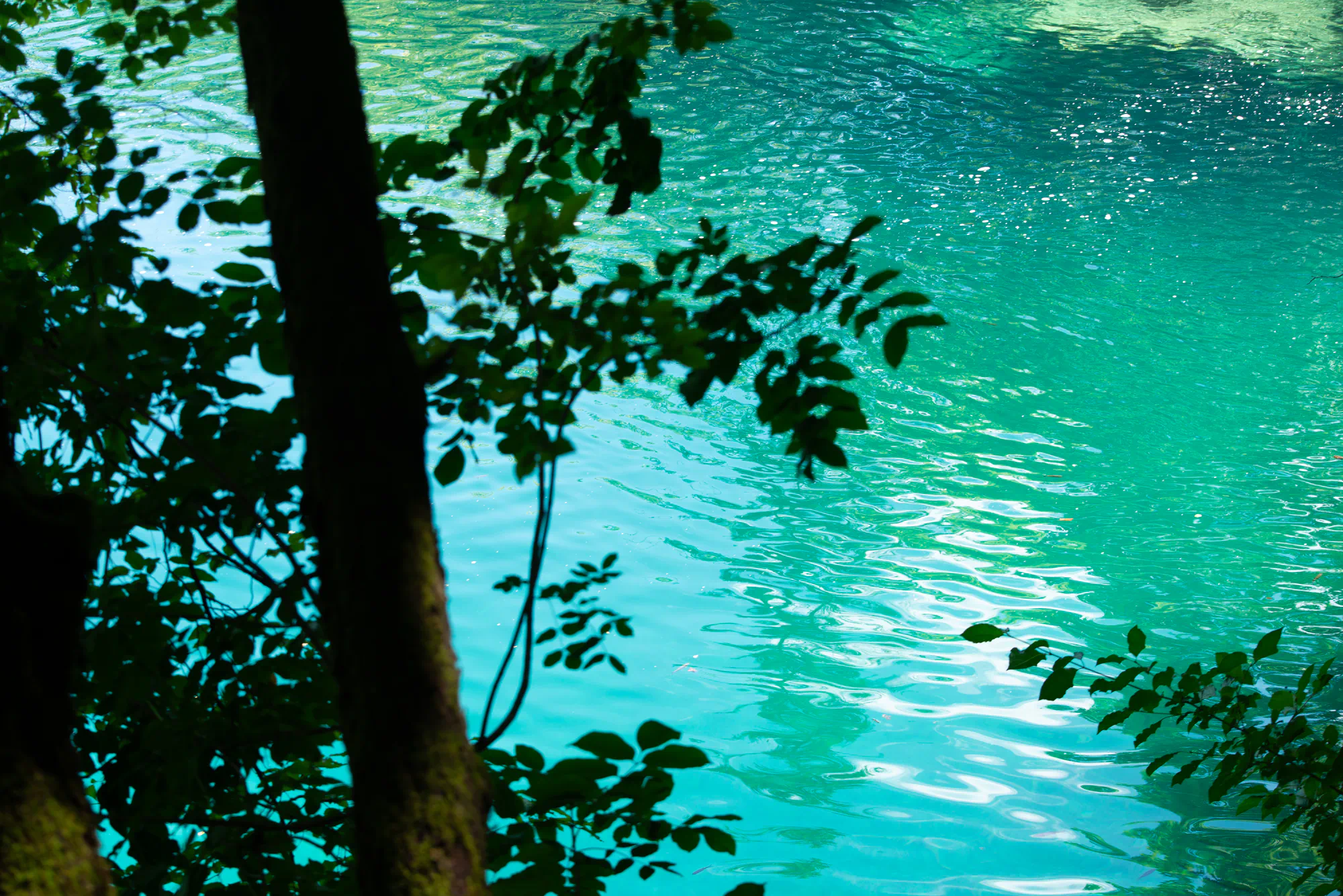 plitvice lakes water